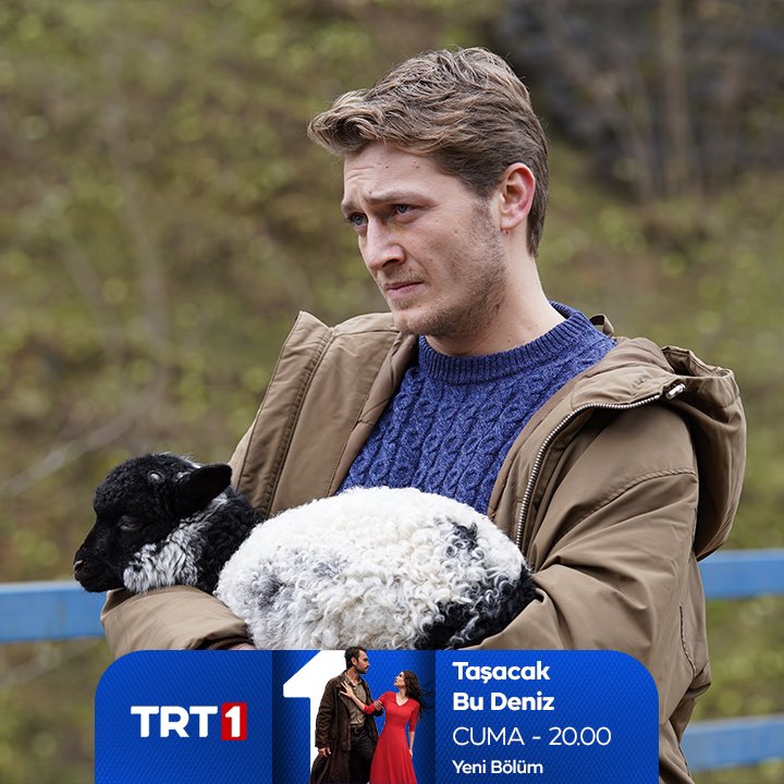 dazai furtuna tweet media