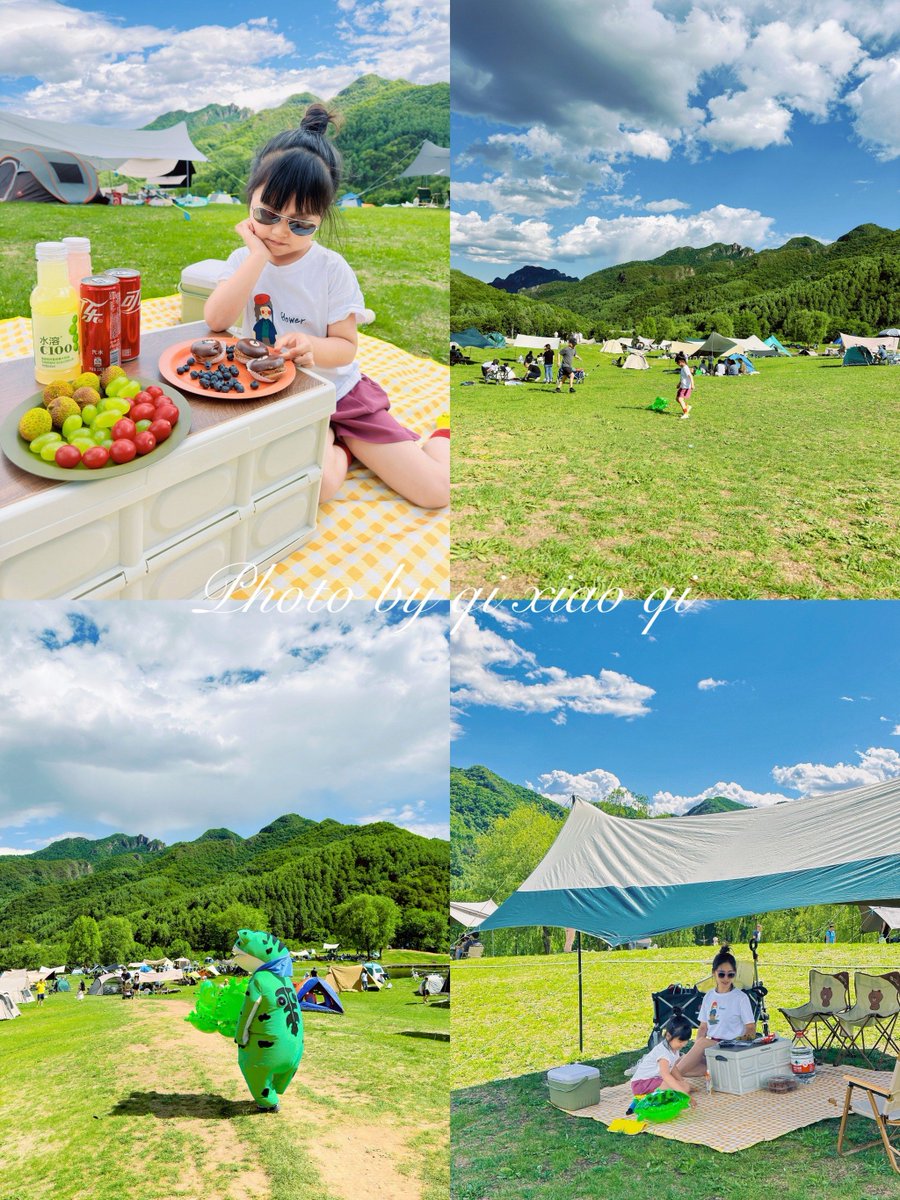 Identy Bot tweet media