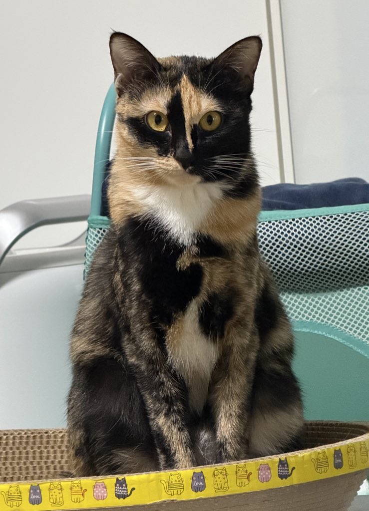 สายตาเปลี่ยนไปตามกาลเวลา 😅