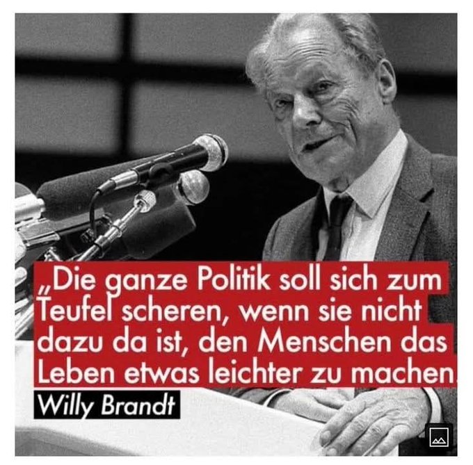 Sunflower tweet media