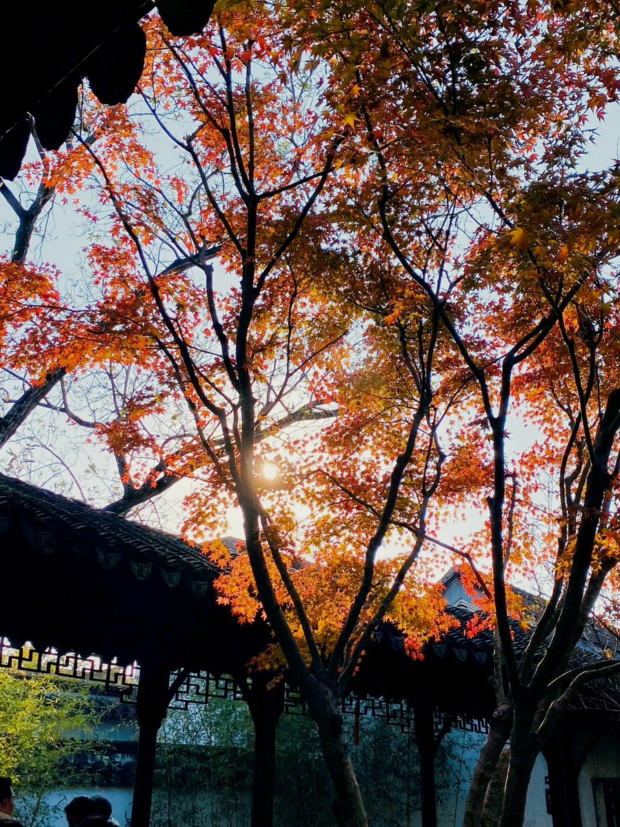 CHATCHAWAN tweet media