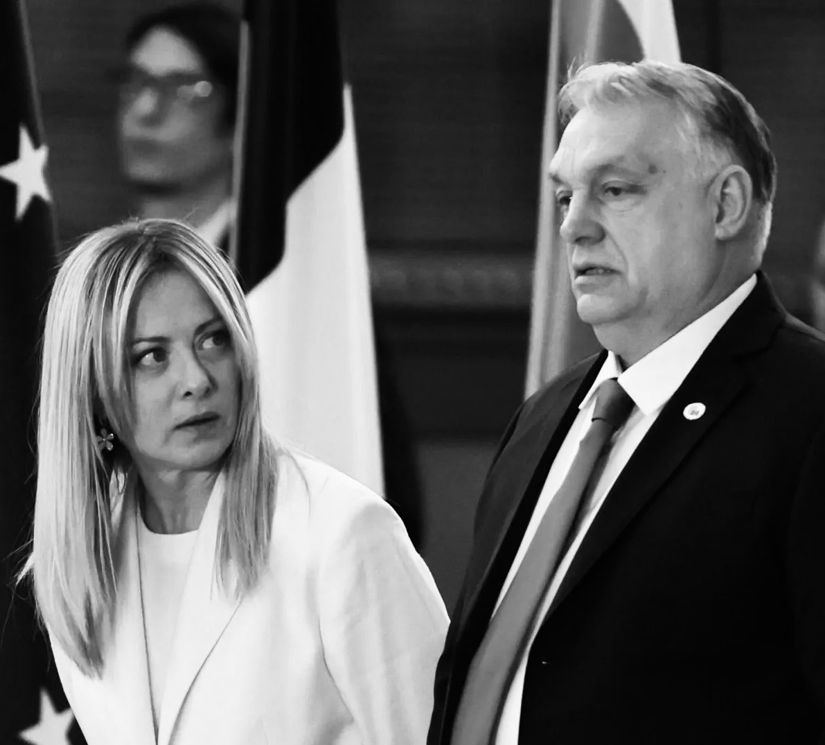 hotelkabul's tweet image. Oramai questo #traditore della #EU, #spia e #marionetta di #putin non ha più remore, non si maschera più. Dimostrandosi privo #onestà, #morale, #rispetto.
E i suoi sostenitori forse sono peggio di lui.
#orban