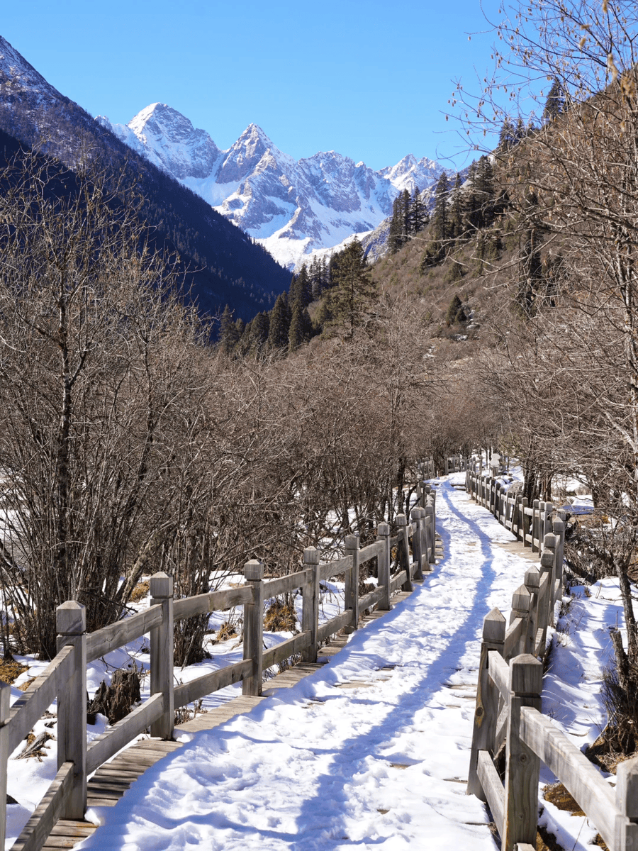 Bjørn Johansen tweet media