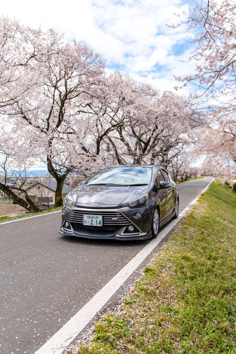 めーでん tweet media