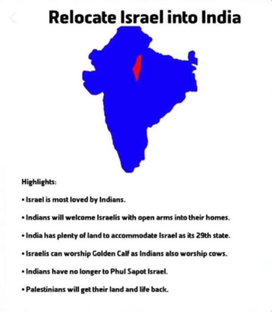 Rob 🇦🇺🏴‍☠️ tweet media