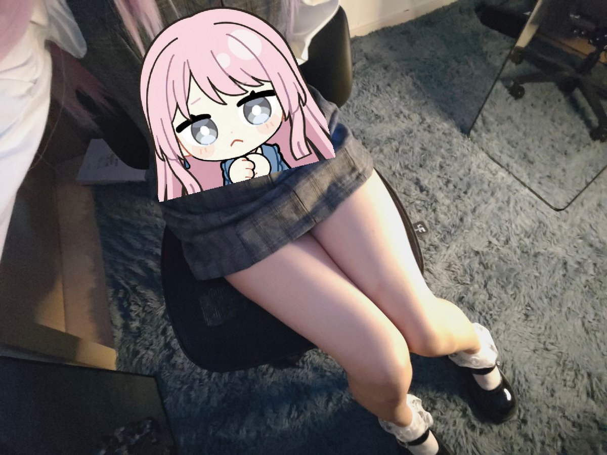 绝世好猫 tweet media