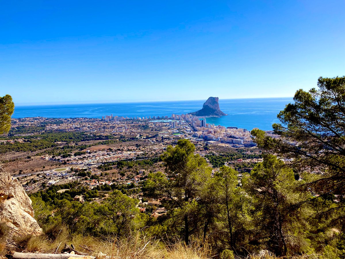 Sara Mañero tweet media