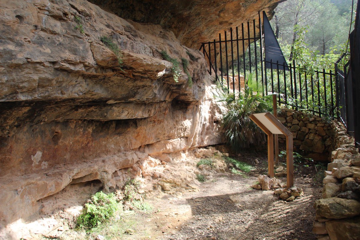 Museu de Prehistòria de València tweet media