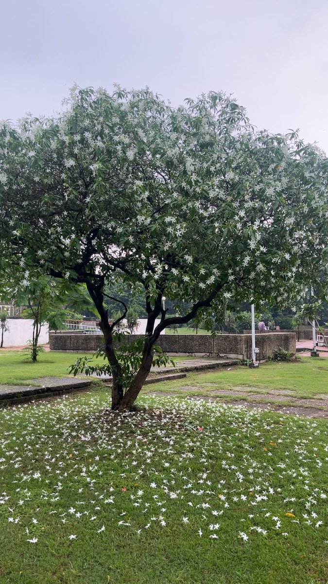 ARTI SHARMA 🦋 tweet media