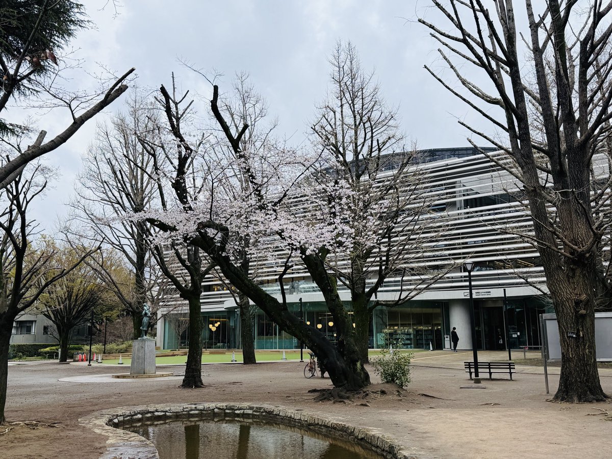 itabashiPrint's tweet photo. 3月26日の平和公園の桜🌸情報

＃板橋区＃花見＃平和公園＃いたばし印刷株式会社＃いたばし印刷マン https://t.co/52tOPg4HUd