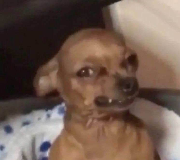 Rorly Gary Omoding tweet media