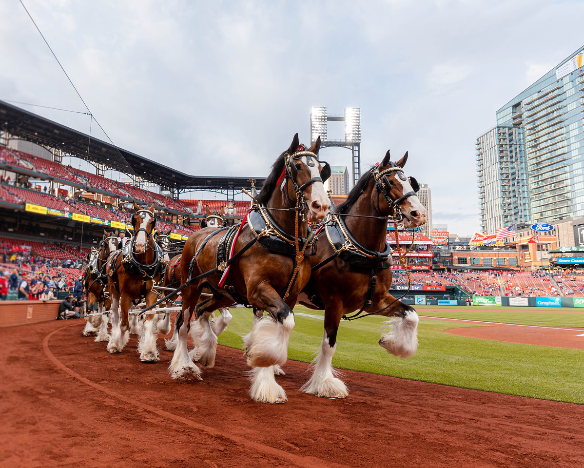 It's Opening Day! Drop a ⚾ if you're watching the game right now.
