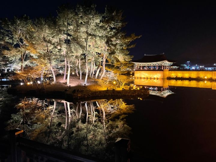 韓国旅行「コネスト」 tweet media