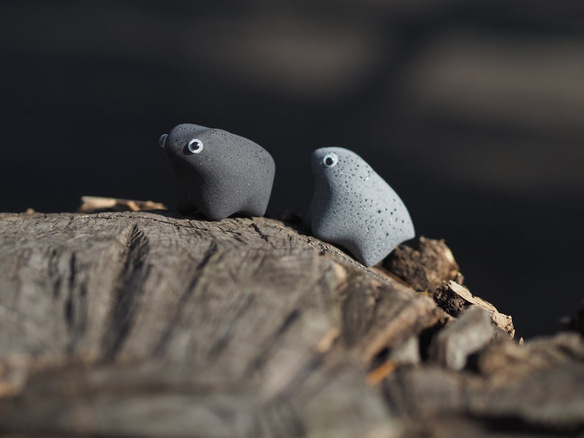 ペブルス / Pebbbles. tweet media