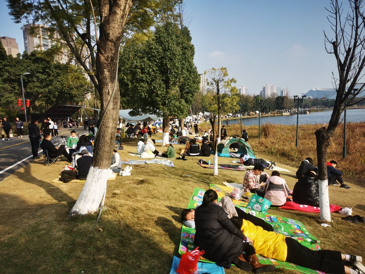 DINU ARIE MORALES tweet media