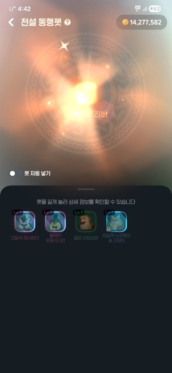 🔥순대🪄 tweet media