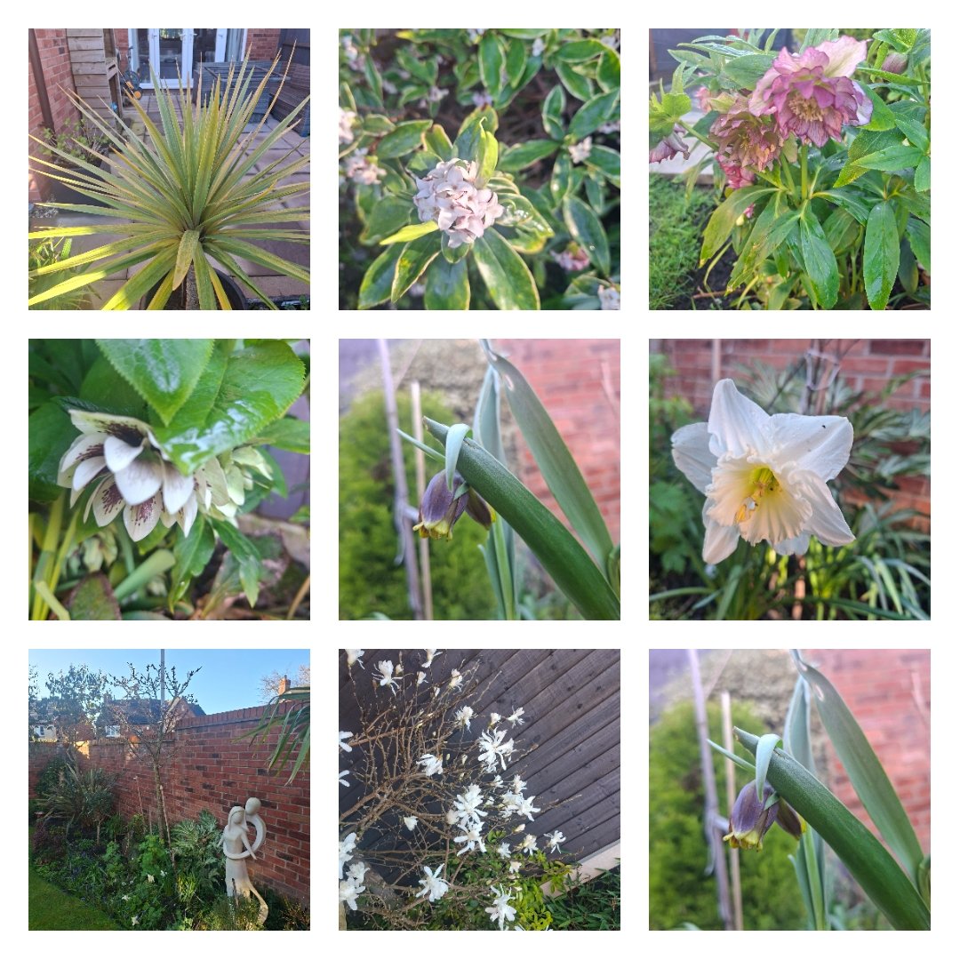 Erica Richardson tweet media