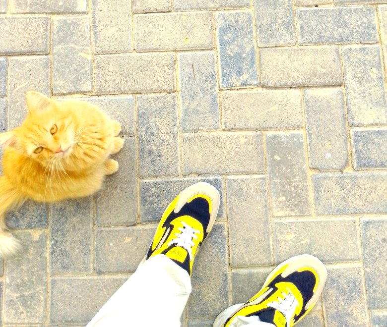 🕊️ ESLAMM🕊️ Karam🕊️. tweet media