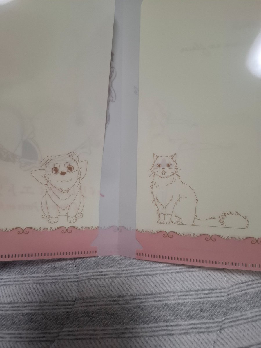 レオ隊長@ワクチン×7 うがい手洗い継続中 tweet media