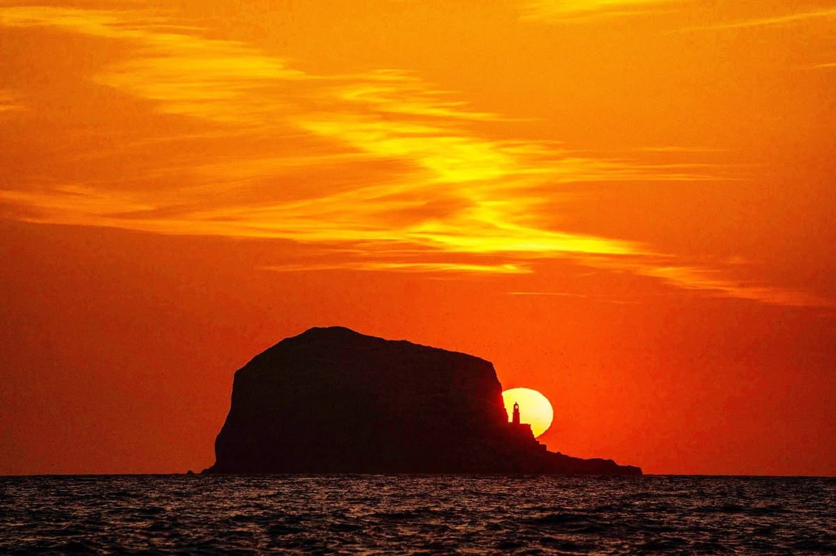 DavyTolmie tweet media