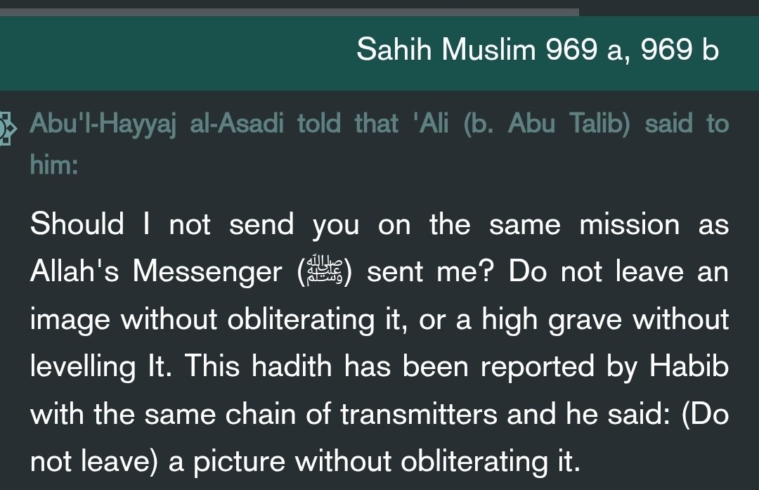 parco molo tweet media