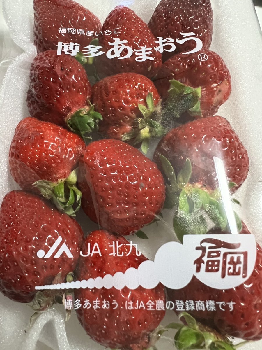 🐬パラディソ仙台東インター店🐬 tweet media