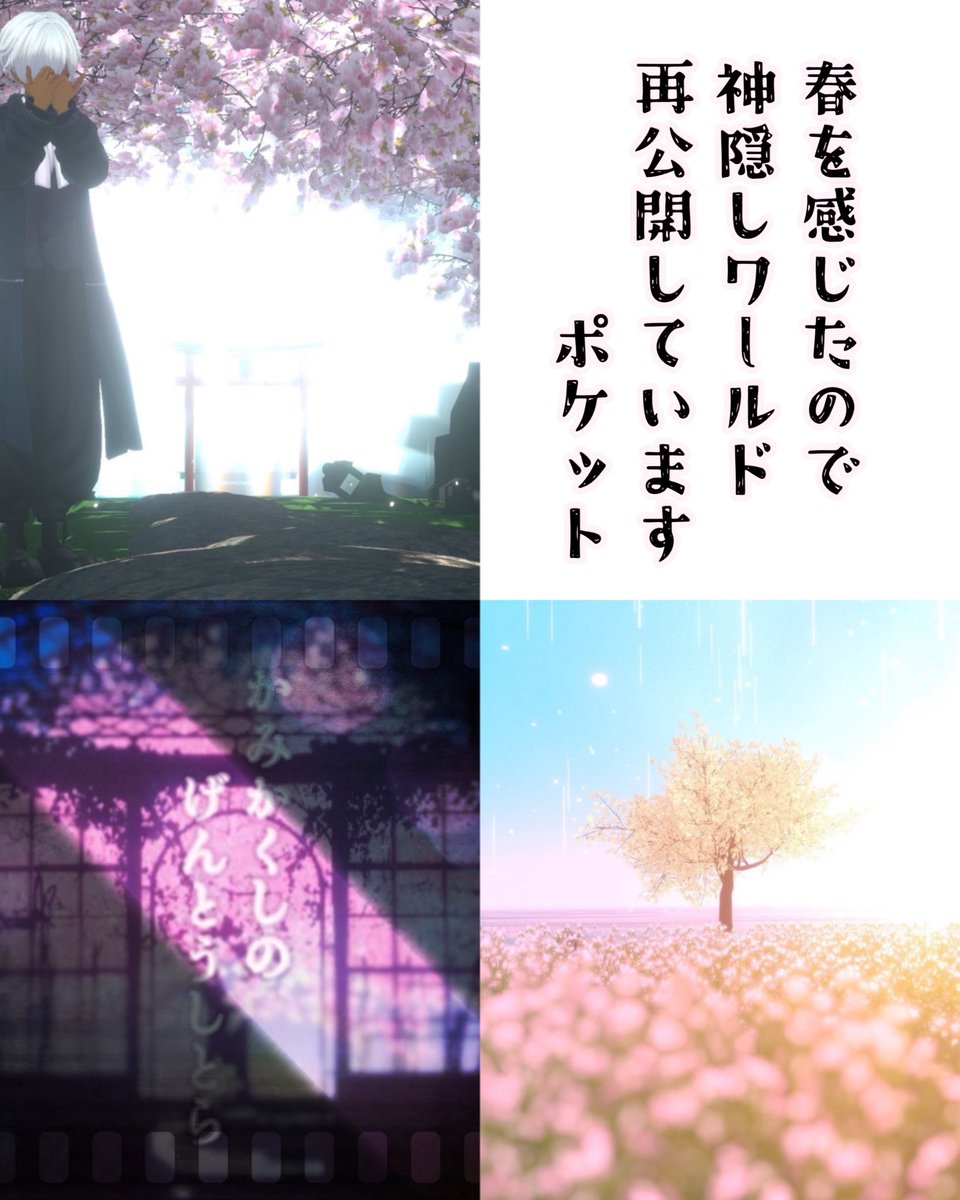 ポケット tweet media