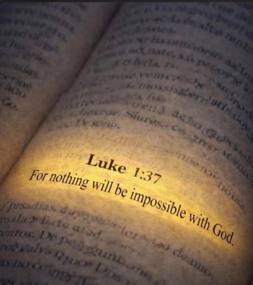 King victør 👑 tweet media