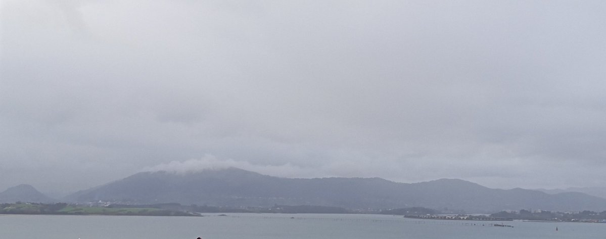 Solari eSports tweet media