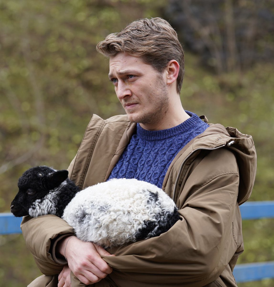 𝗌𝗂𝖺 tweet media