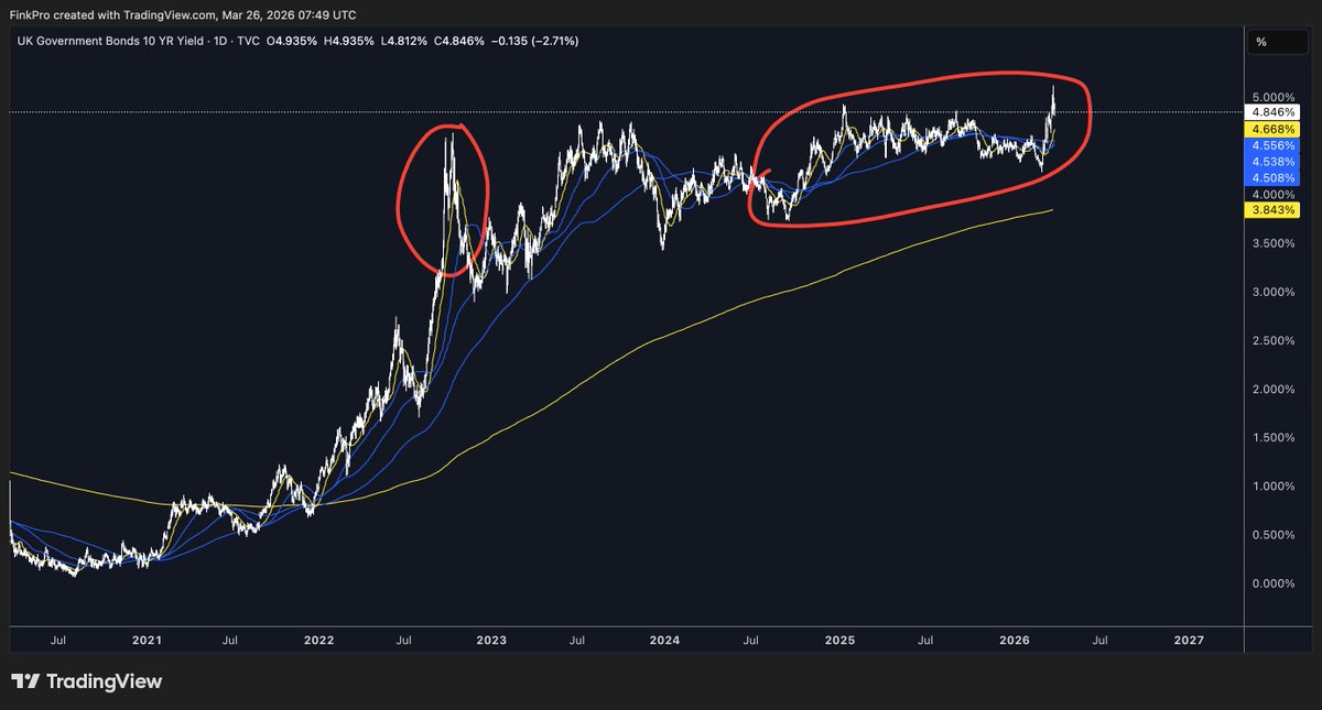 🧠 David tweet media