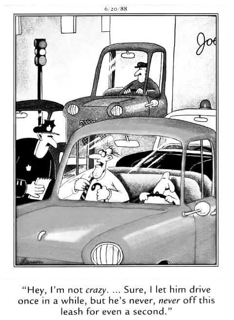 Karoryfer Lecolds tweet media