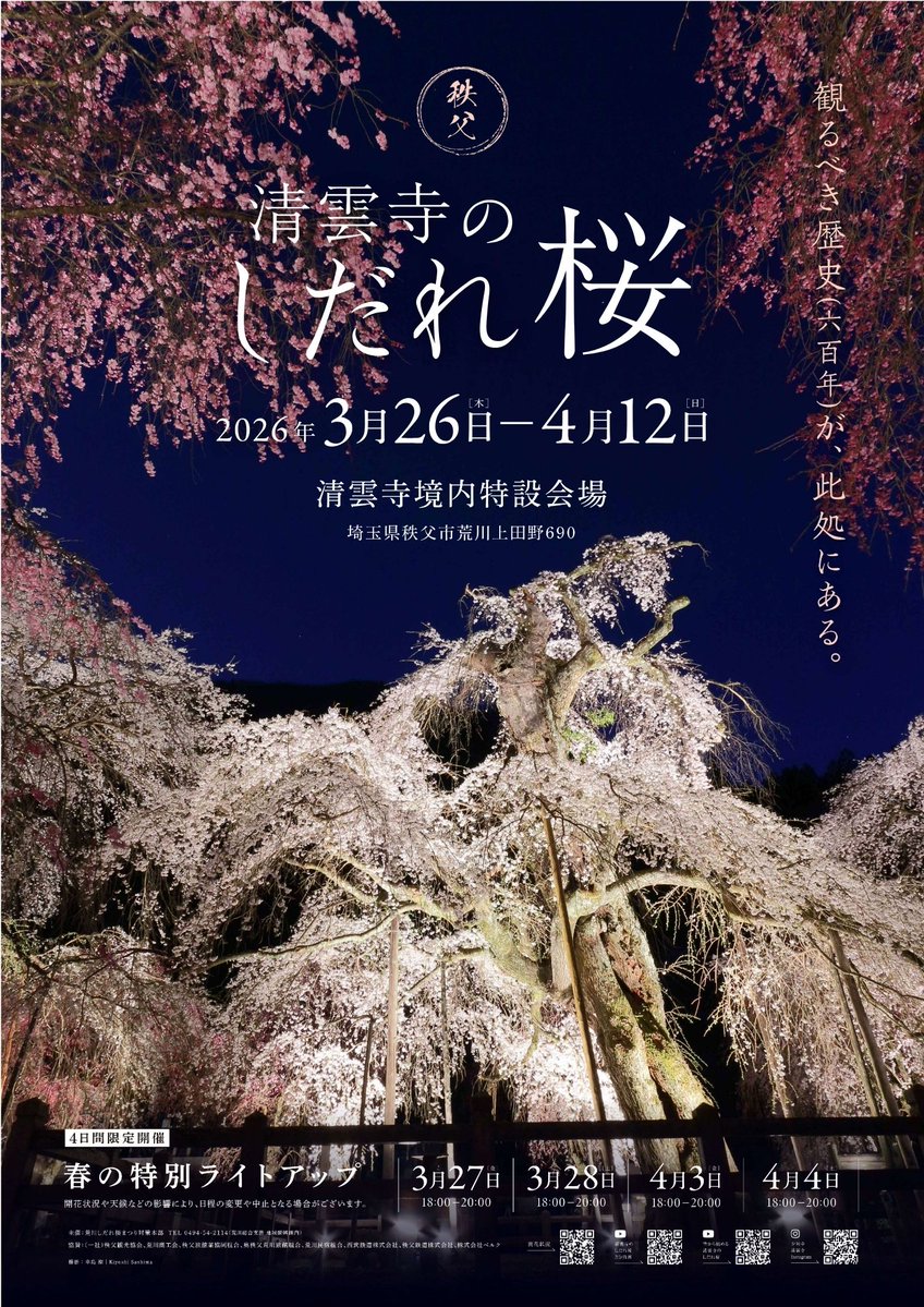 秩父市荒川にある清雲寺のしだれ桜が見頃を迎えています🌸 境内では