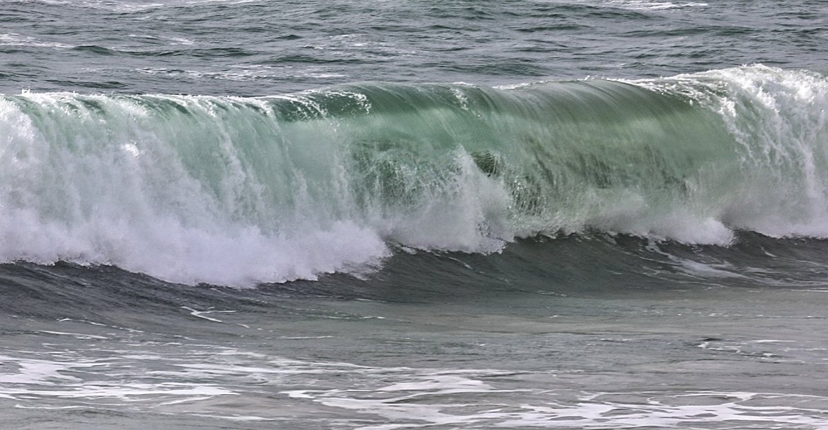 Robert Macleod tweet media