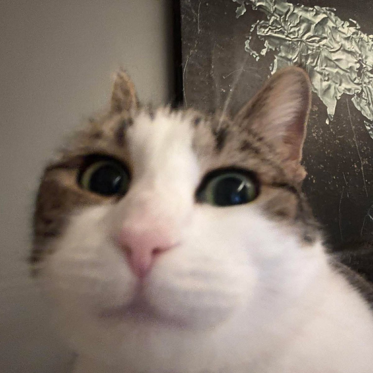 La Couque de Namgikook ⊙⊝⊜ tweet media