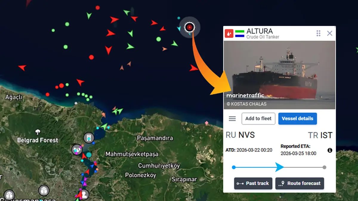 Special Kherson Cat 🐈🇺🇦 tweet media