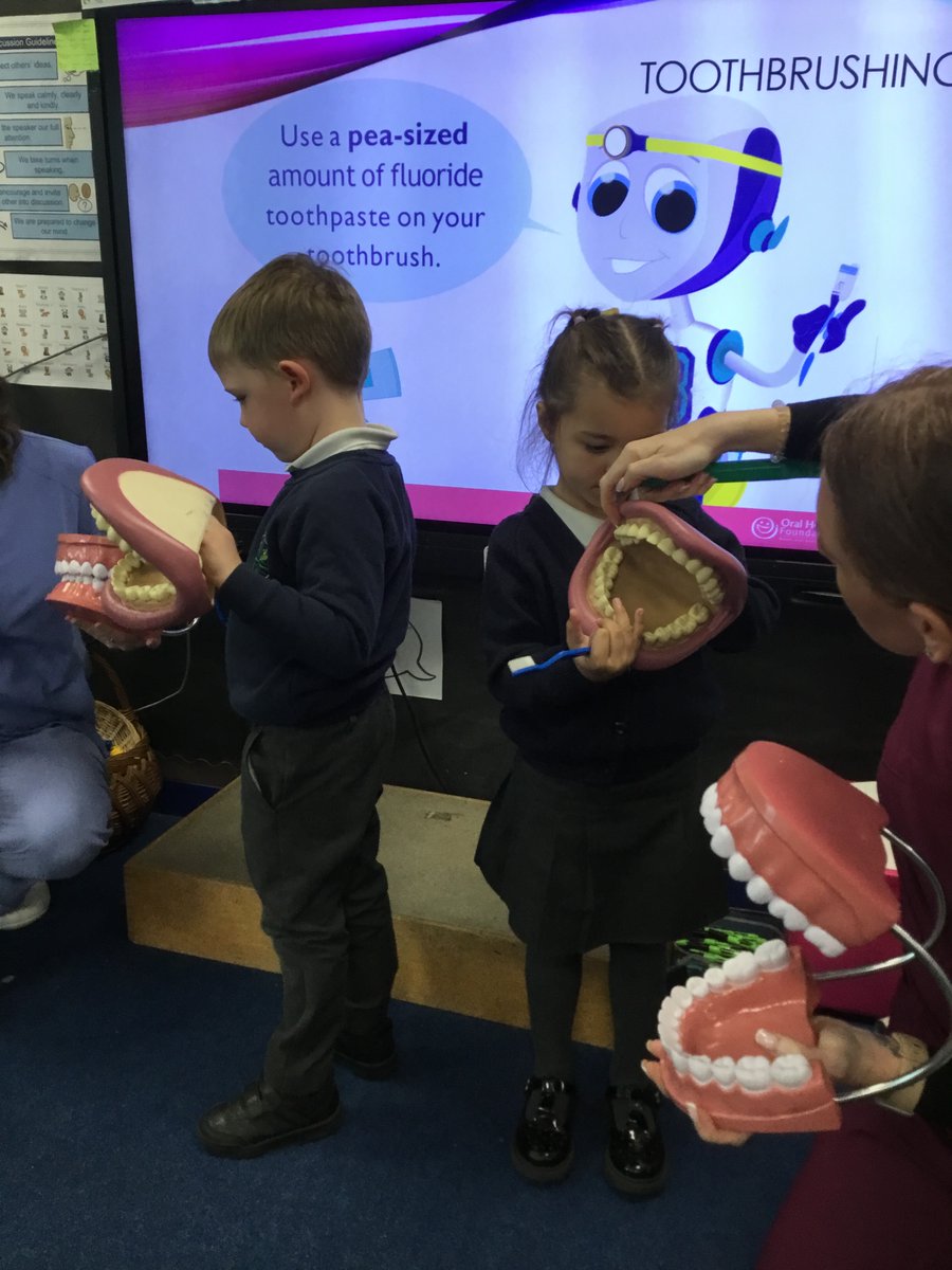 Springfield Primary School tweet media