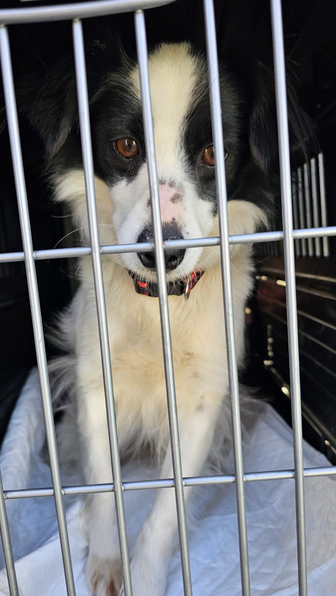 axlamadrid.org tweet media