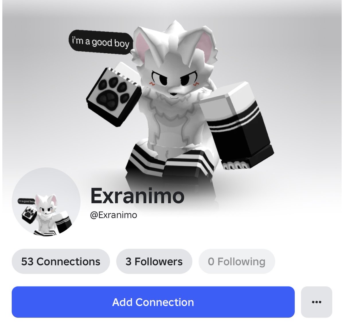 RoCatchers tweet media