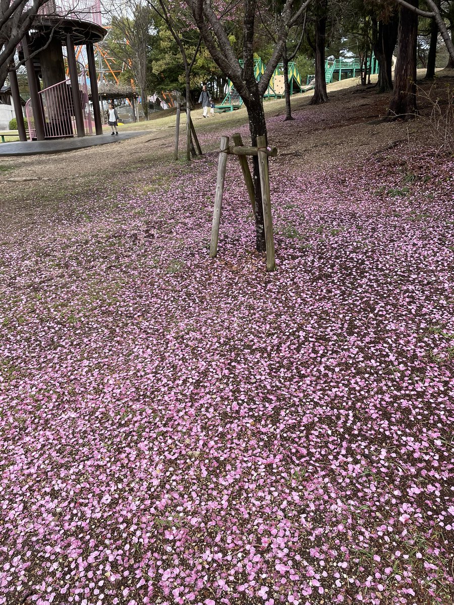 ふぁん 2026年張り切ってまいりますよ💪❤️‍🔥 tweet media