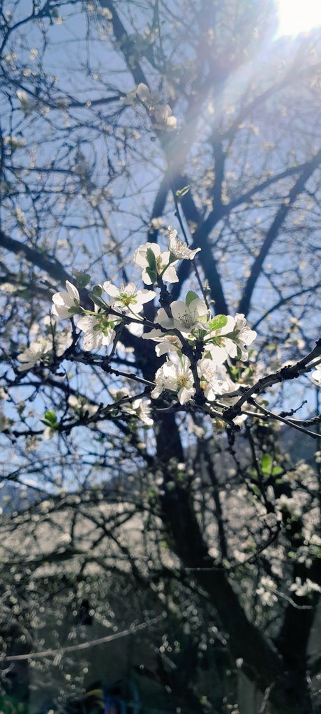 آقایِ معمولی tweet media