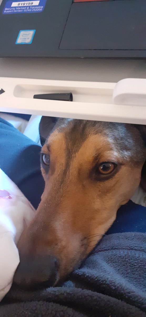 Lesley Keay tweet media