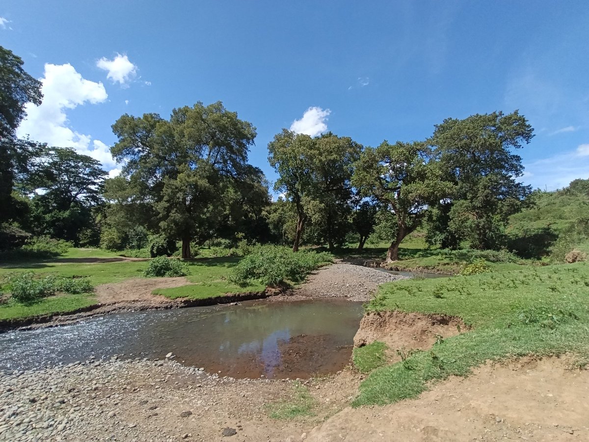 Laikipia Ranches tweet media