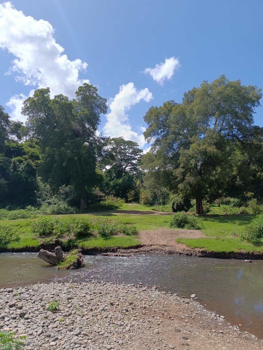 Laikipia Ranches tweet media