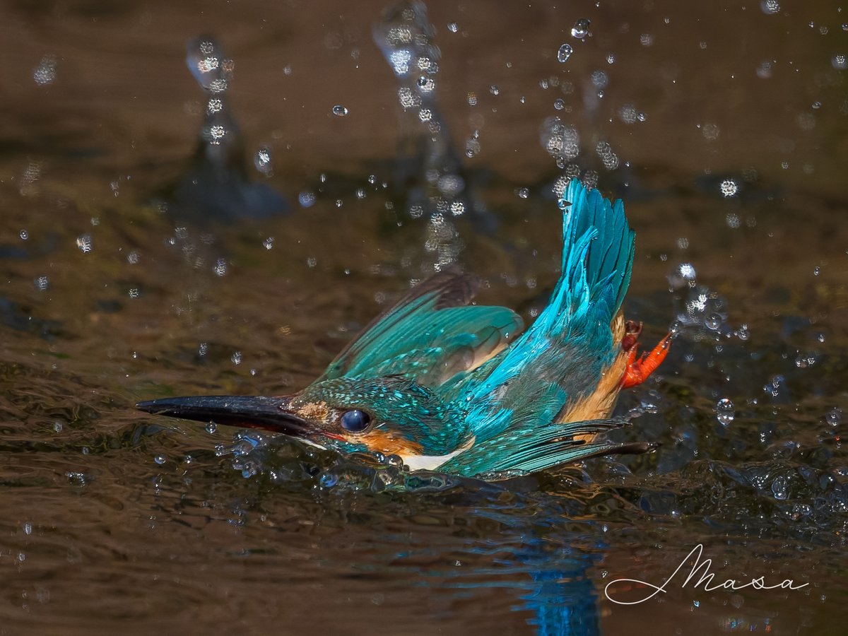 まさ/ Masa tweet media