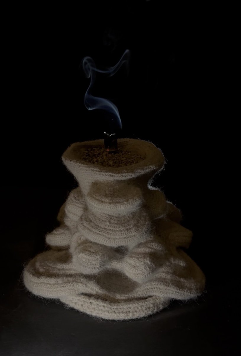 김비서 tweet media