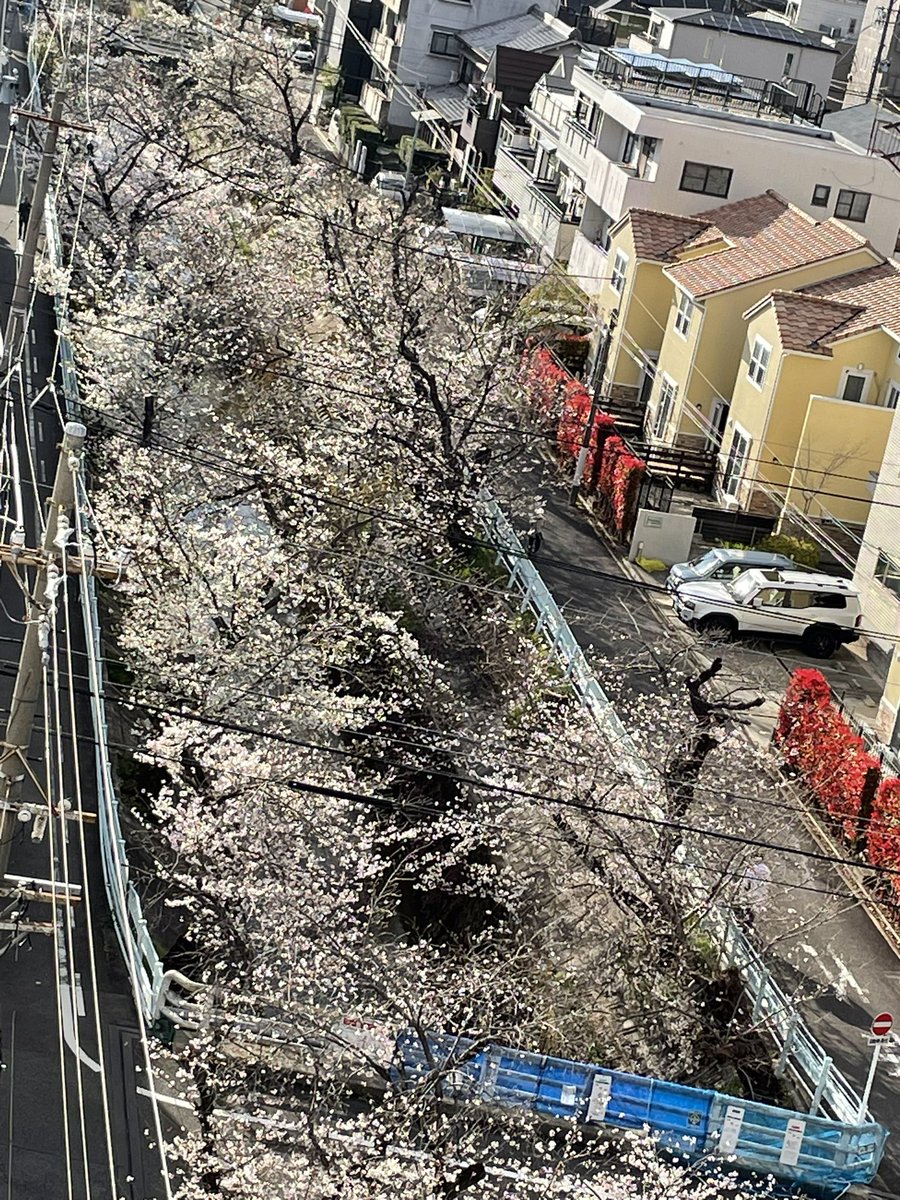 ふぁん 2026年張り切ってまいりますよ💪❤️‍🔥 tweet media