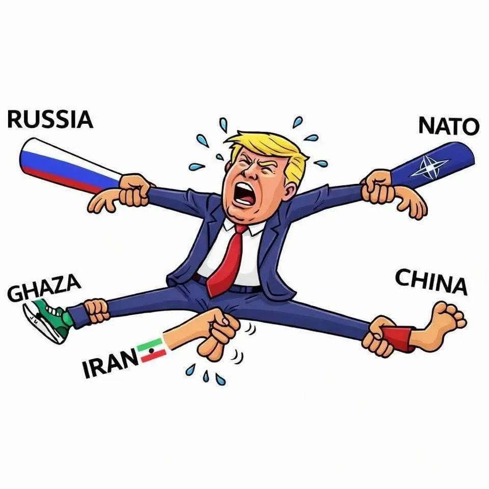 انقلابی tweet media