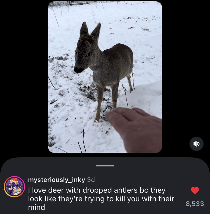 John fawn tweet media