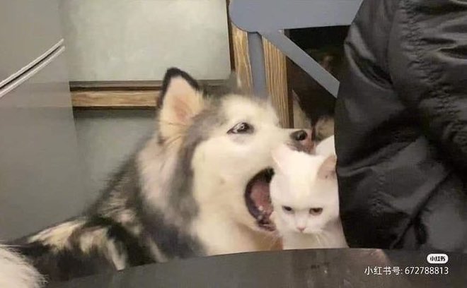 25.05.25 tweet media